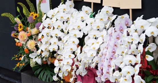 開店・開業祝い