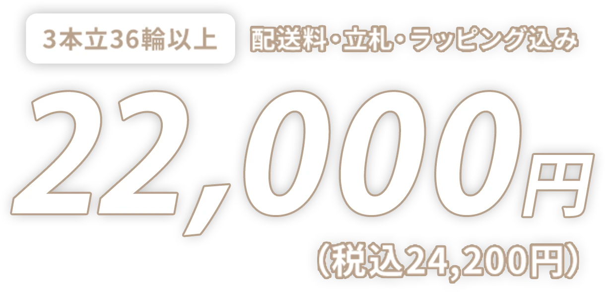 3本⽴36輪以上 配送料・⽴札・ラッピング込み 22,000円（税込24,200円）