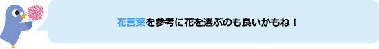 でんぽっぽ君「花言葉を参考に花を選ぶのも良いかもね!」