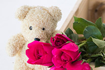 ぬいぐるみとお花