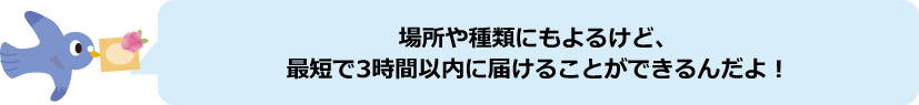 でんぽっぽ君「場所や種類にもよるけど、最短で3時間以内に届けることができるんだよ!」