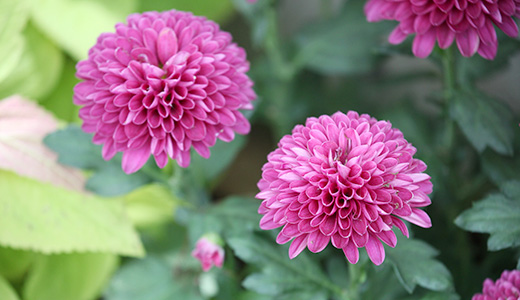 ご遺族の友人・知人から ご遺族の友人・知人から