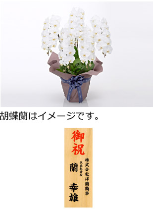 開店 竣工のお祝い電報を送る 祝電 電報はkddiグループ でんぽっぽ 開店 竣工のお祝い電報を送る 祝電 電報はkddiグループ でんぽっぽ