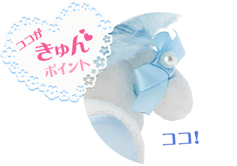 ココがきゅんポイント!