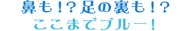 鼻も!?足の裏も!?ここまでブルー!