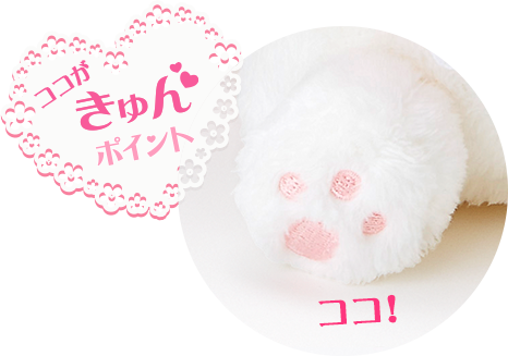 ココがきゅんポイント!