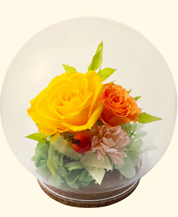 商品画像 商品画像