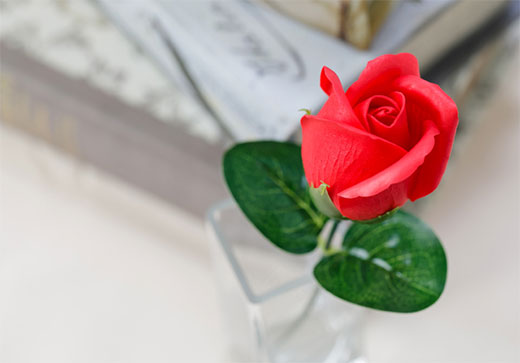 オプション画像 オプション画像